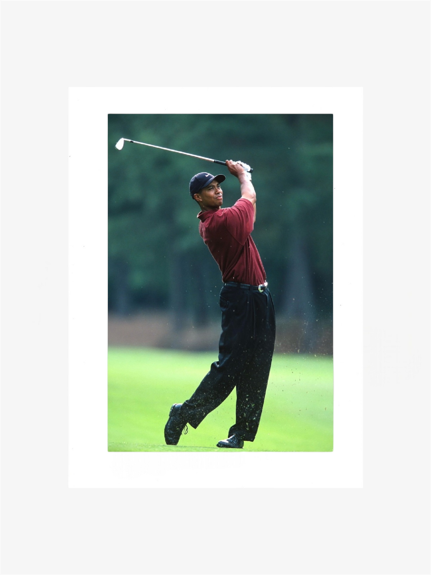 PHOTO ART STAMPA TIGER WOODS