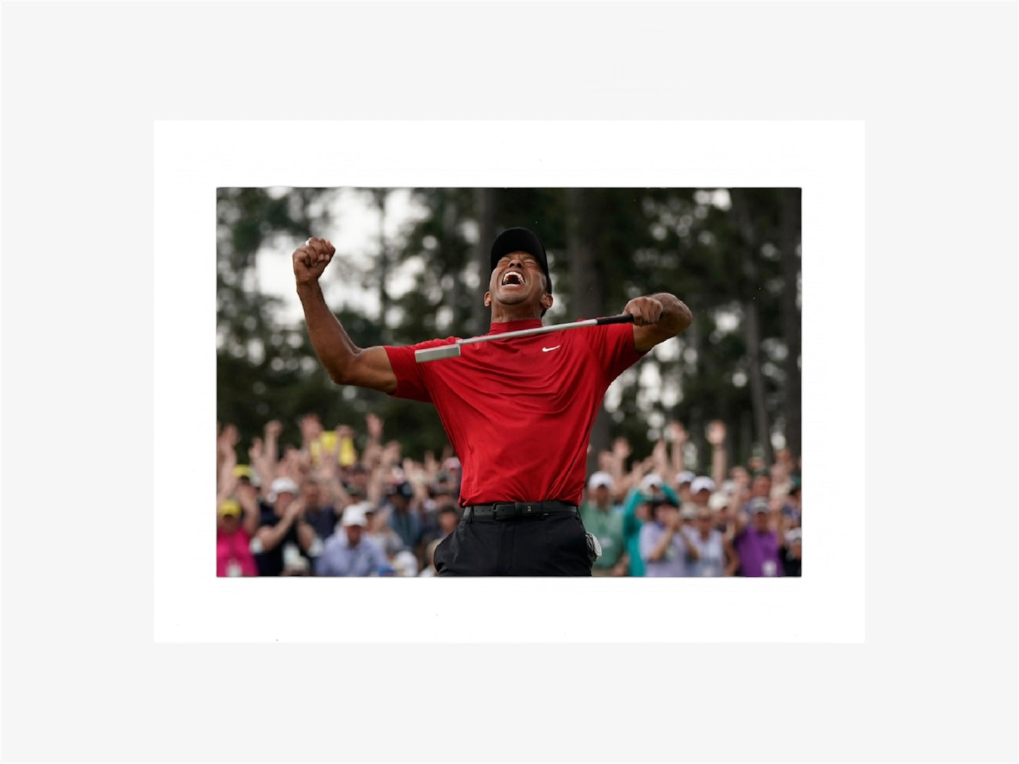 PHOTO ART STAMPA TIGER WOODS