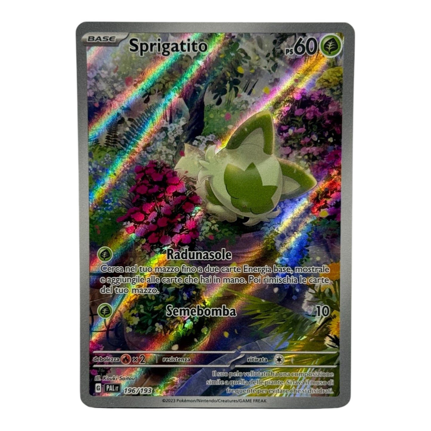 Pokèmon Evoluzione a Paldea Sprigatito rara 196-193 (IT)