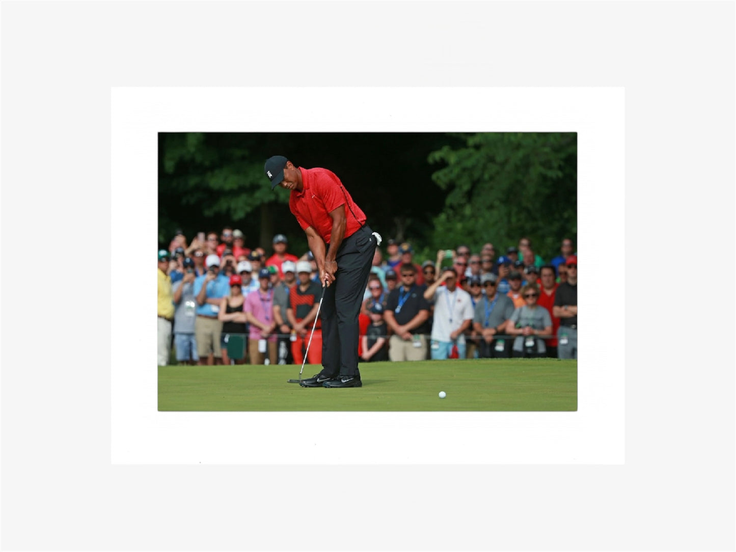 PHOTO ART STAMPA TIGER WOODS