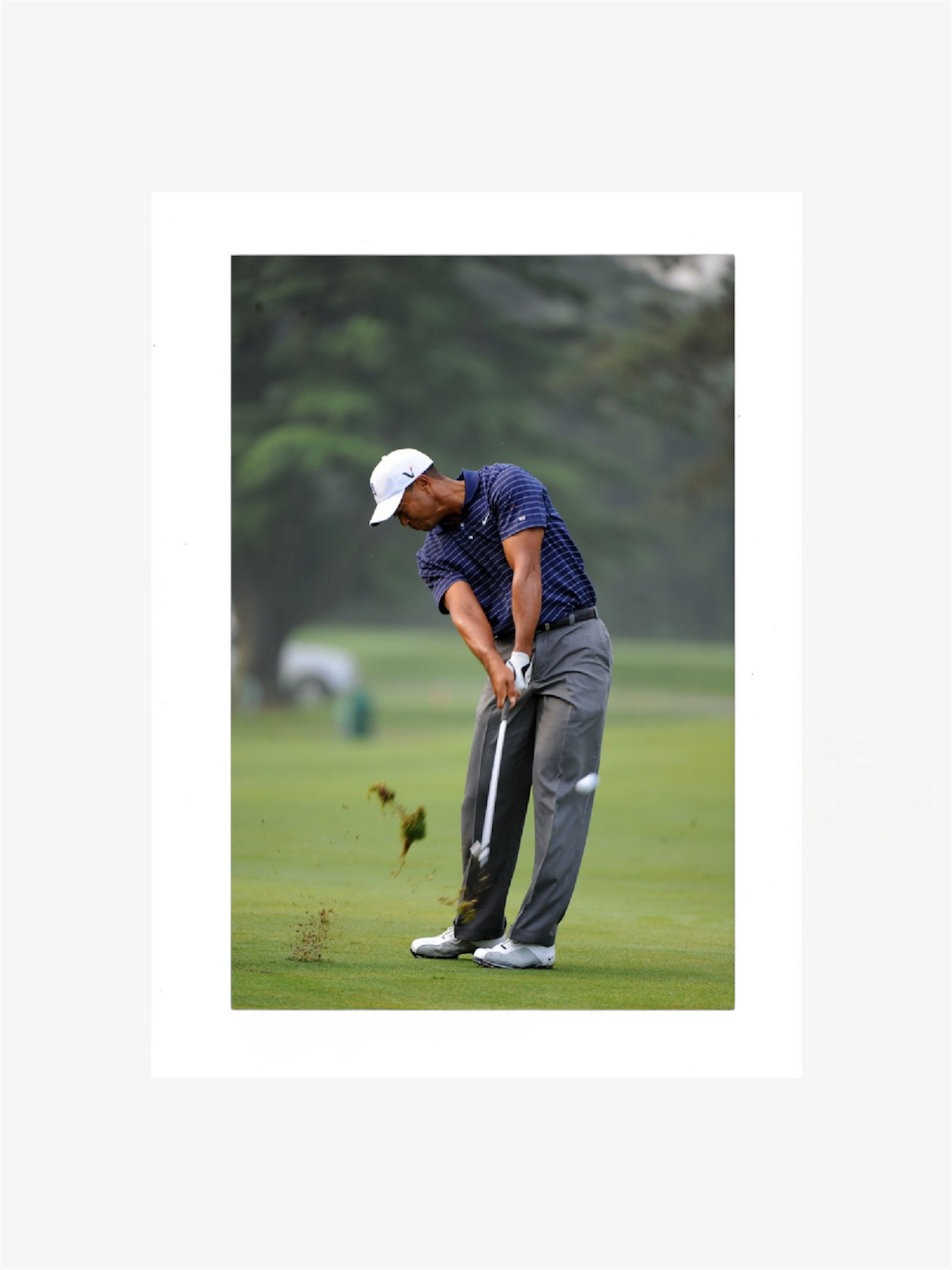 PHOTO ART STAMPA TIGER WOODS