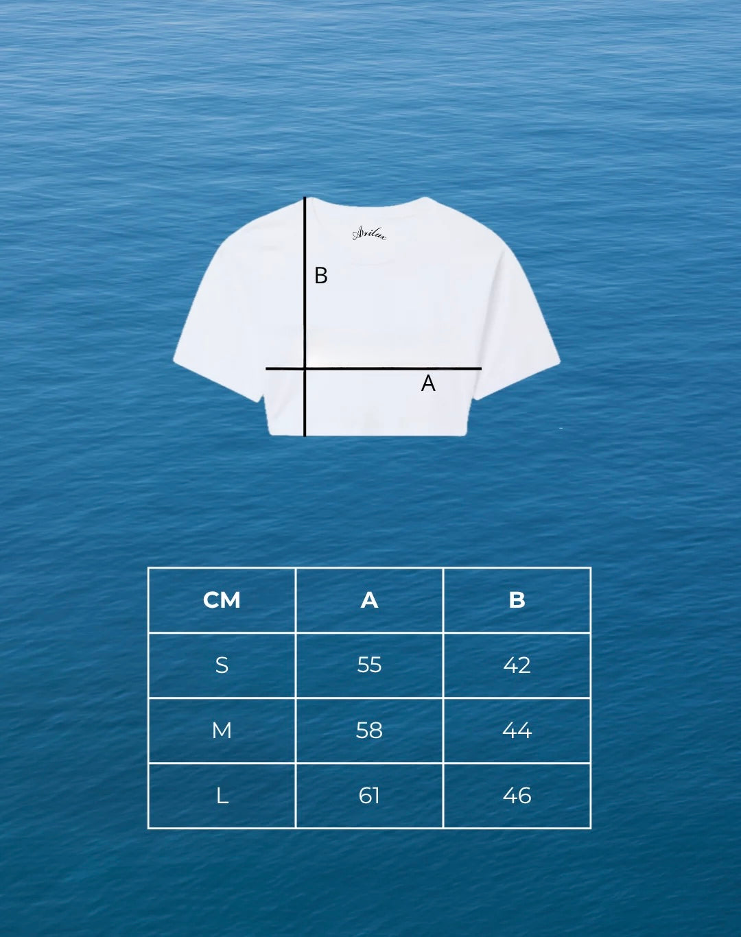 AR CROP TOP BASIC