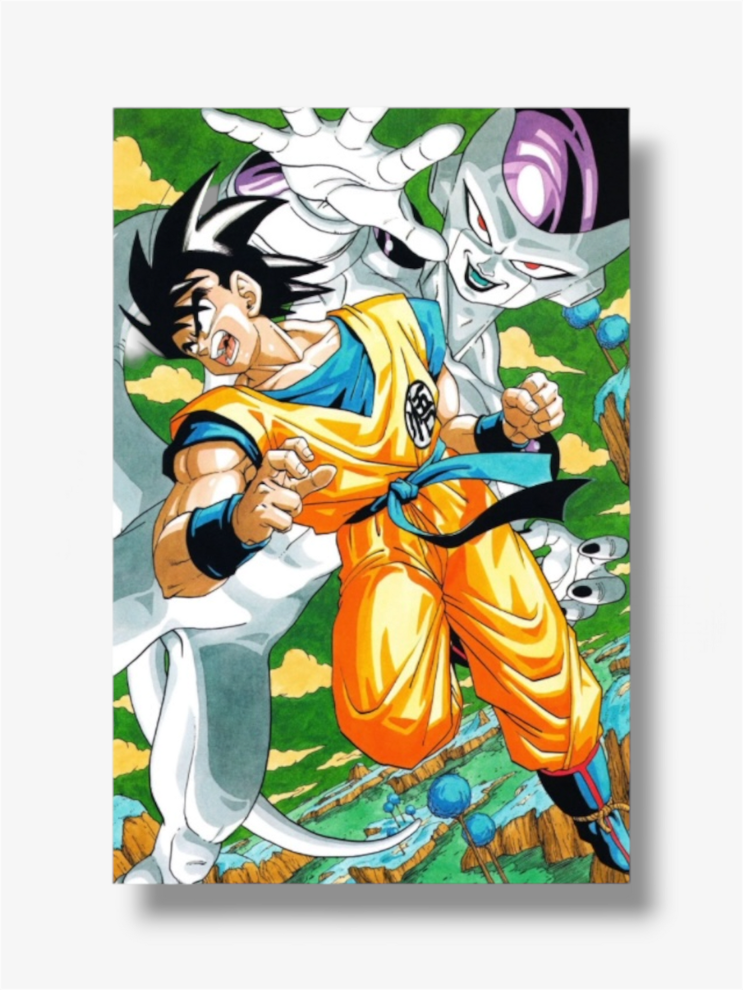 Dragon ball photo stampe goku freezer