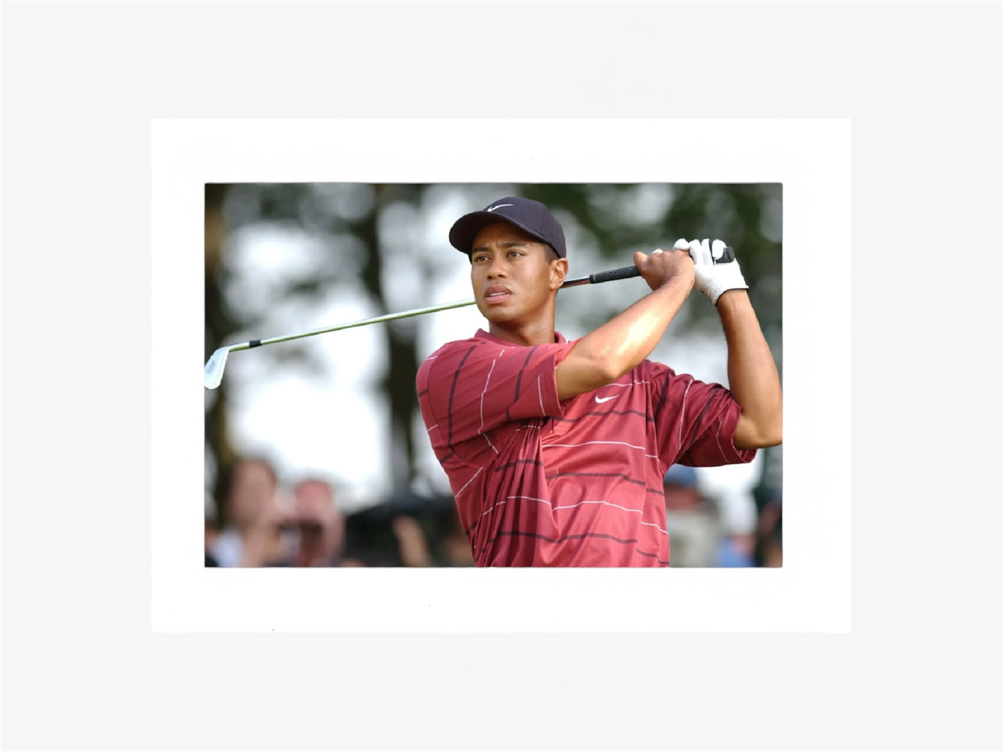 PHOTO ART STAMPA TIGER WOODS