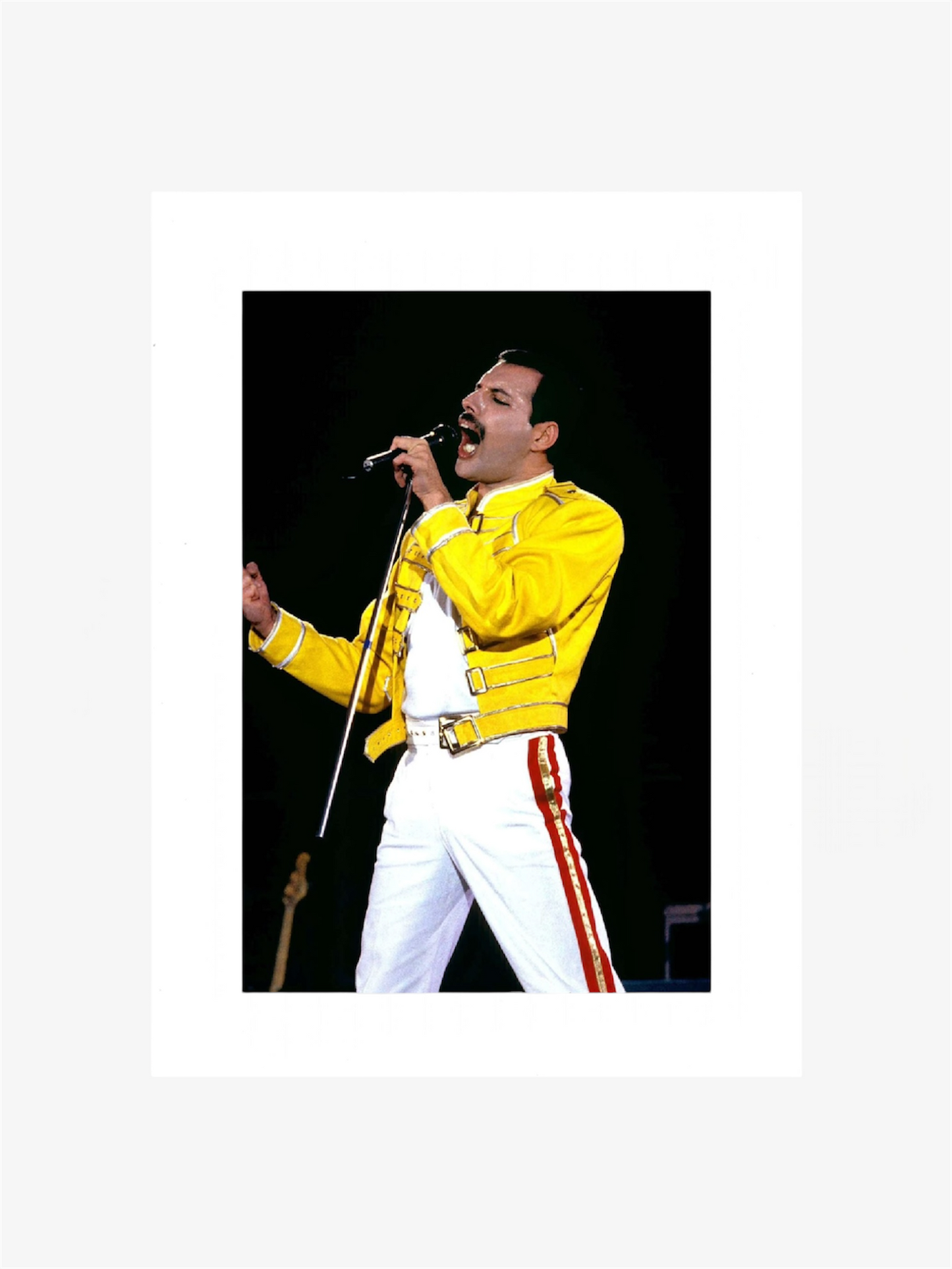 freddie mercury queen photo stampa arredo