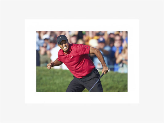 PHOTO ART STAMPA TIGER WOODS