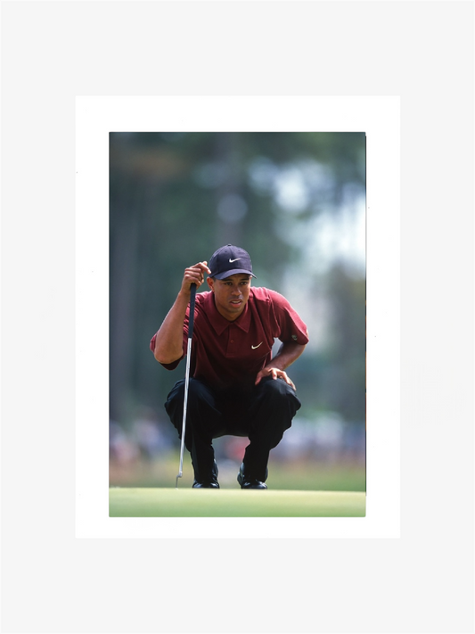 PHOTO ART STAMPA TIGER WOODS