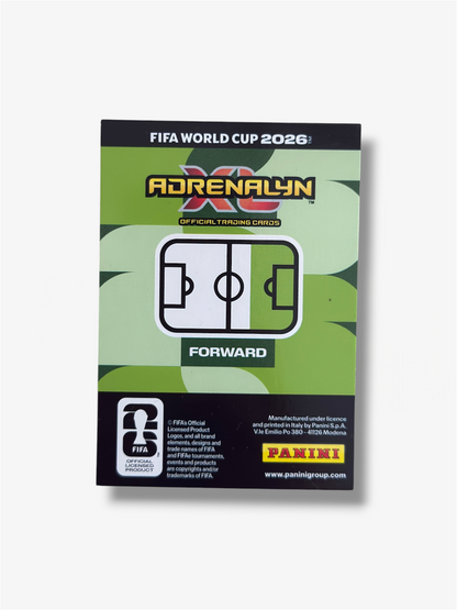 2026 Panini Card Lionel Messi #24 Icon World Cup Adrenalyn XL