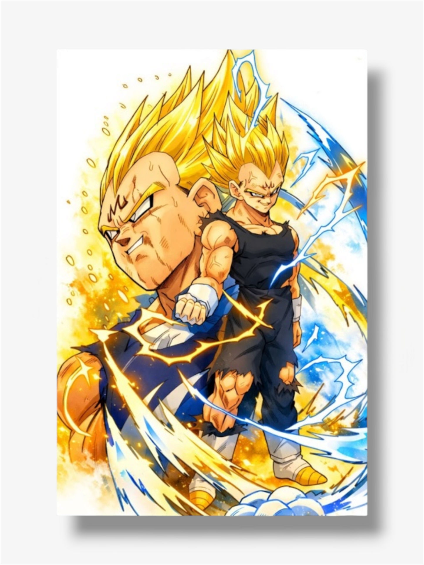 Dragon ball photo stampe vegeta