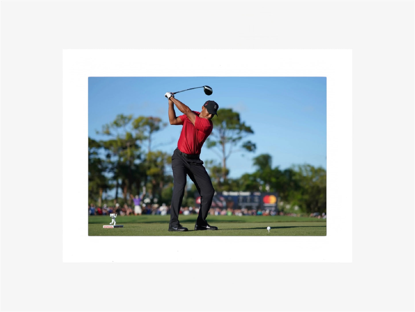 PHOTO ART STAMPA TIGER WOODS