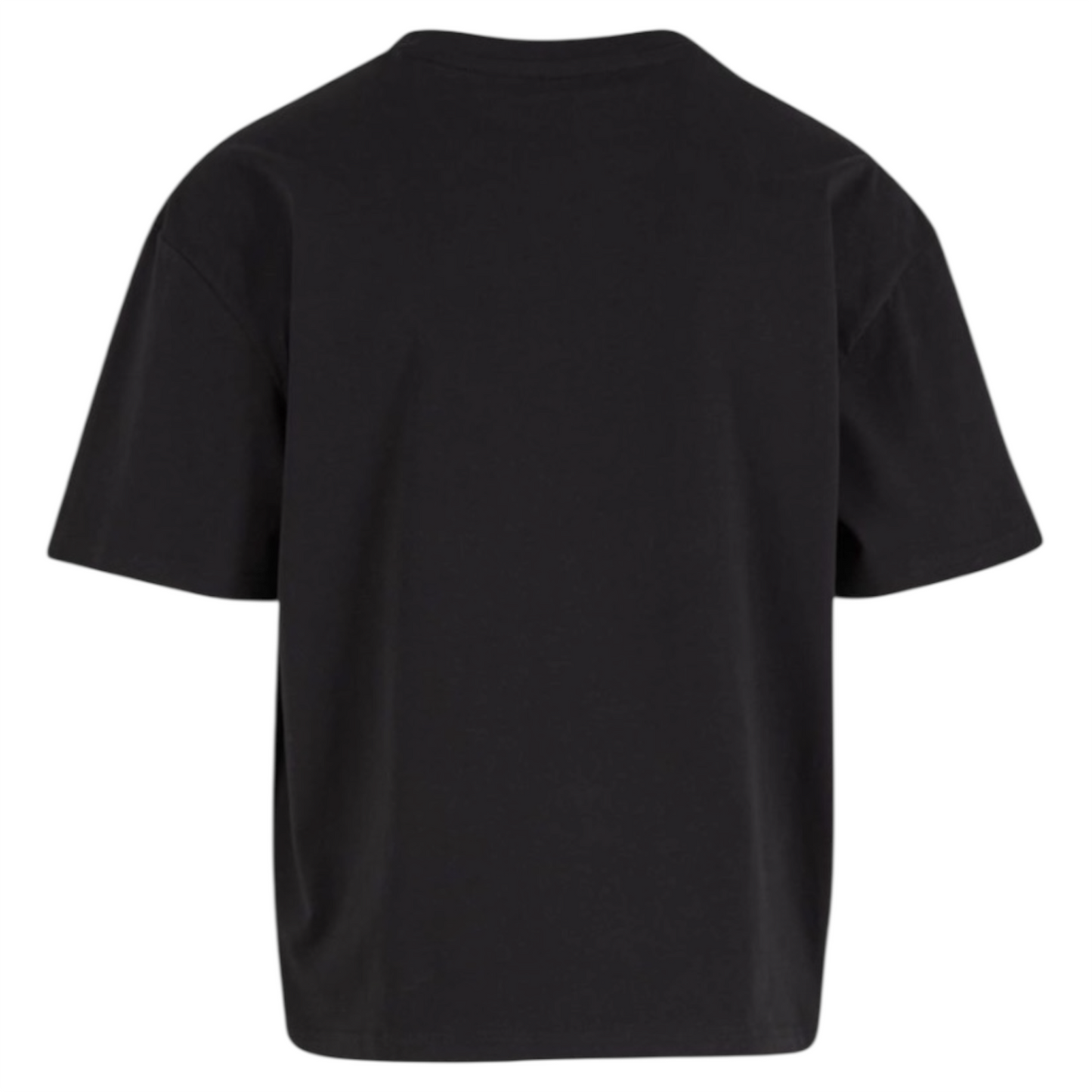 AR CROP FIT 200GSM TEE