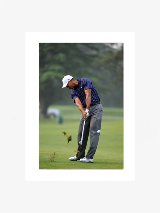 PHOTO ART STAMPA TIGER WOODS