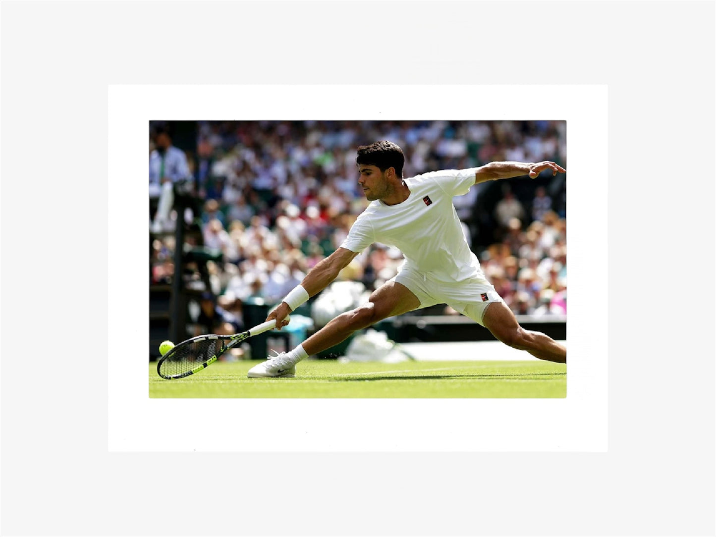 PHOTO ART STAMPA CARLOS ALCARAZ