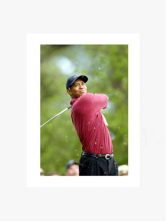 PHOTO ART STAMPA TIGER WOODS