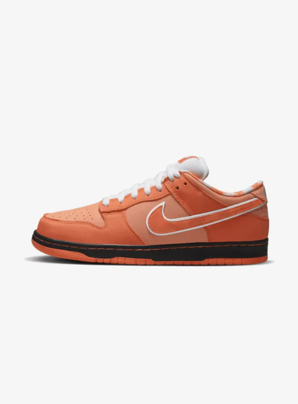 Nike Dunk low SB Lobster Orange Concept